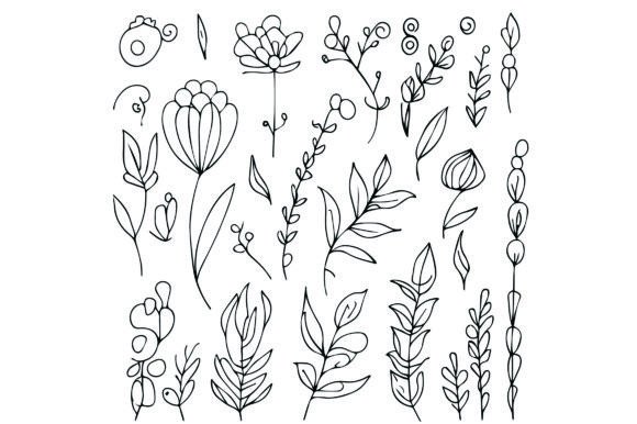 Download Simple Botanical Flower Drawings - Drawing Collection