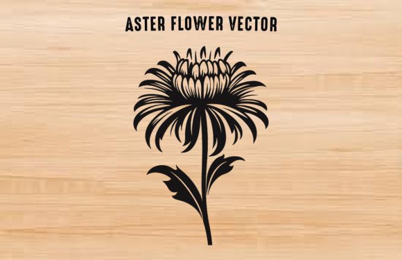Download An Aster Flower Silhouette Vector - Vector Collection