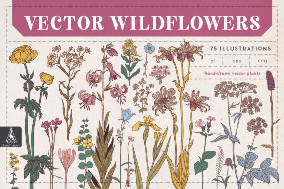 Download Vector Wildflowers - Vector Collection