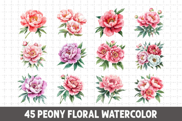 Download Peony Floral Watercolor Clipart Bundle - Floral watercolor Collection