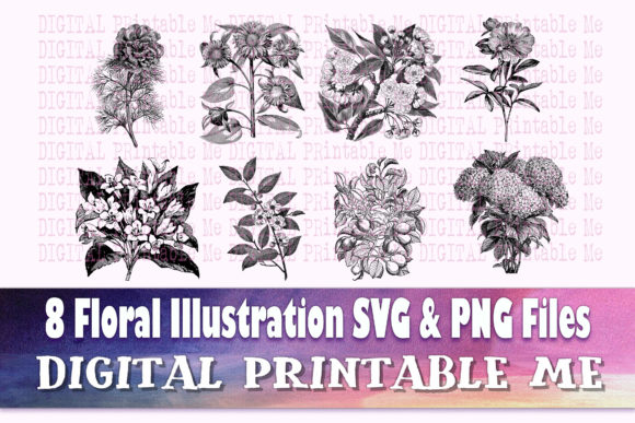 Download Floral Illustration Flower Drawing - Drawing Collection