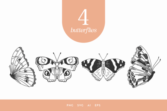 Download Butterflies Illustrations - Butterflies illustrations Collection