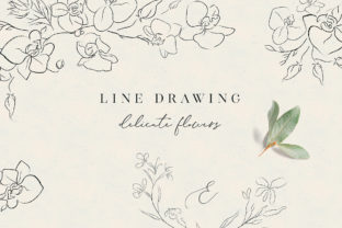 Download Line Drawing Orchid Flower Illustrations - Drawing Collection