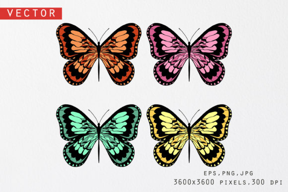 Download Butterflies Illustrations Set - Premium Resources